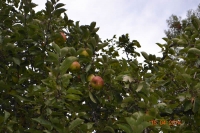 tn_DSC_1460.JPG tn_DSC_1460.JPG